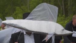 All the world's a stage in the Ural Mountains Instructional Video