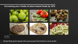 Plant-based ultra-processed foods raise risk of heart disease and death, study suggests News Clip