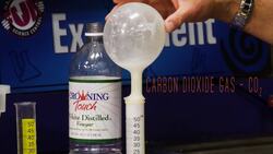 The Importance of Oxygen: Our Lifeline Instructional Video