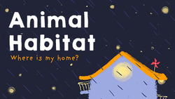 Where do Animals Live? Instructional Video