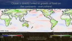 TED: Wiring an interactive ocean | John Delaney Instructional Video