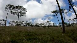 landscape silhouette at Phu Soi Dao national park Thailand Stock Footage