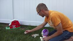 Die Bremer Stadtmusikanten - Märchen - Deutsch lernen Instructional Video