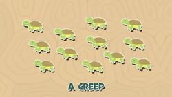 Tortoise Facts Instructional Video