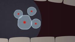 How Well Do Masks Work? (Schlieren Imaging In Slow Motion!) Instructional Video