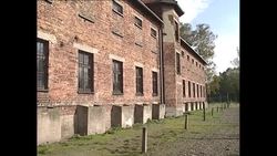 Archive Auschwitz Concentration Camp News Clip