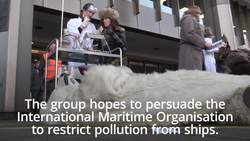 Extinction Rebellion targets 'dirty' shipping fuel in dead polar bear protest News Clip