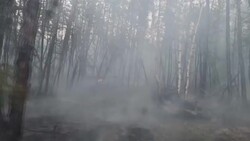 CLEAN : Siberia feels the brunt of climate change as wildfires rage News Clip