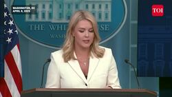 'Nancy Pelosi Begged...': Karoline Leavitt Stuns Democrats With Bombshell Amid Trump Tariff War News Clip