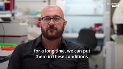 Scientists create the world’s first 'synthetic' embryos without using sperm or eggs News Clip