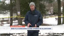 Bird flu outbreak possibly linked to goose deaths in Allentown Instructional Video