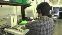 Food tech company develops lab-grown chicken nuggets News Clip