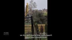 Members of Millcroft Against Bad Development react to 425 trees coming down News Clip