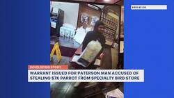 Stolen parrot found, returned to Saddle Brook shop; suspect identified Instructional Video