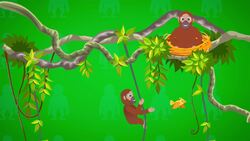 I WONDER - Where Do Orangutans Sleep? Instructional Video