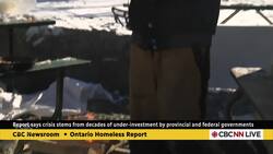 More than 80,000 people in Ontario were homeless in 2024, new report finds News Clip