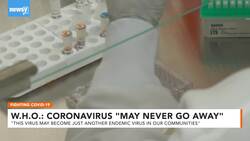 World Health Organization Says Coronavirus 'May Never Go Away' News Clip