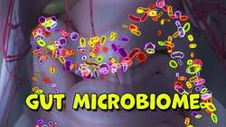 I WONDER - Why Do We Need Bacteria In Our Colon? Instructional Video