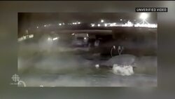 Unverified video appears to show 2 missiles hitting plane in Iran News Clip