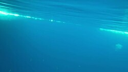 Penguins underwater in ocean Stock Footage