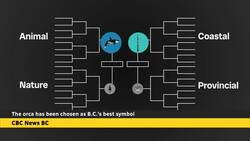 Orca wins The Search for British Columbia's Best Symbol News Clip