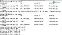 Master Microservices with Spring Boot and Spring Cloud - Step 07 – Playing with Docker Images Instructional Video