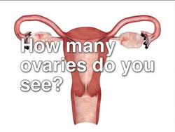 Understanding the Female Reproductive System Instructional Video