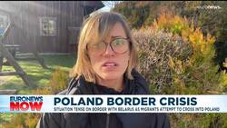 Poland's PM Morawiecki accuses Belarus of 'state terrorism' over migrant border crisis News Clip