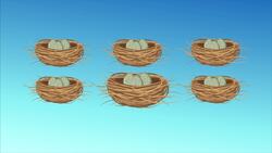 Counting Fun with Little Birds: Learn Numbers with Nature Instructional Video