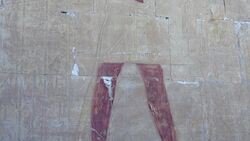 Egypt, Luxor - Mortuary Temple of Hatshepsut - Middle Porticoes Stock Footage