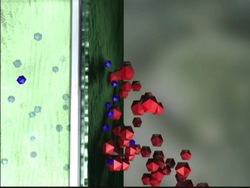 Células: funciones de las células Instructional Video