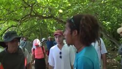 CLEAN : In Seychelles a tiny island coaxes bird back from brink News Clip