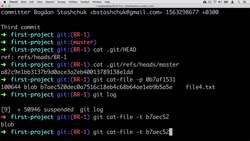 Complete Git Guide: Understand and Master Git and GitHub - Why Git Reuses Blobs with the Same Contents? Instructional Video