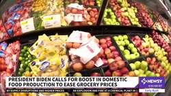 President Biden Calls For More Domestic Food Production To Ease Costs News Clip