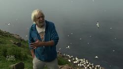 Safeguarding seabirds: This week on Land & Sea News Clip