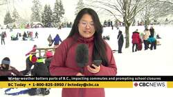 Winter weather batters parts of B.C., impacting commutes and prompting school closures News Clip