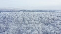 Quebec and Montreal's Beauty: A Drone's Eye View Instructional Video