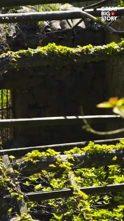 Nature Reclaims Shengshan Island, An Abandoned Fishing Village Instructional Video