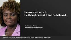 Biden's pardon of son criticized by Democrats, Republicans News Clip