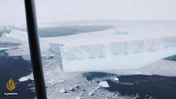 Giant iceberg could collide with south Atlantic penguin colony News Clip