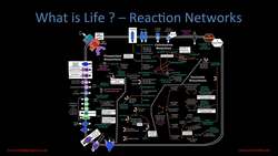 TED: Making matter come alive | Lee Cronin Instructional Video