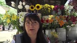 VOICED : En Chile la clase media lucha contra su fragilidad socioeconomica News Clip