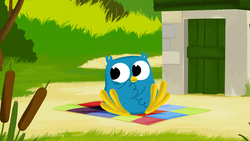 Crickets Instructional Video