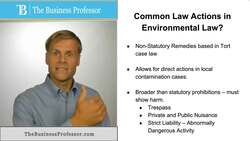 Environmental Law - Common Law Actions Instructional Video