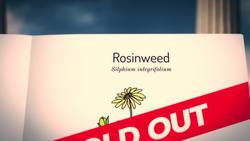 The History of Birth Control Instructional Video