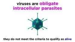 Introduction to Virology and Viral Classification Instructional Video