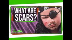 What are Scars? Instructional Video