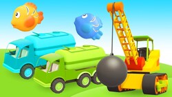 Fish Instructional Video