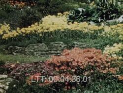 Bournemouth Beach, Late 1940s Stock Footage