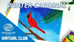 Art Project For Kids: How To Draw A Winter Cardinal Instructional Video